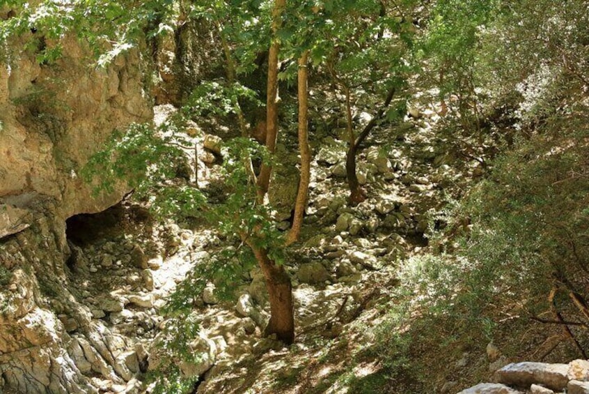 Off-Road: Lake Kournas, Waterfalls, Gorges & Palm Beach Forest