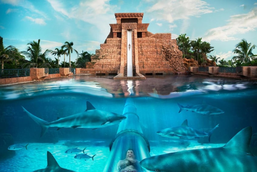 Atlantis Aquaventure and Lost Chamber with Transfer