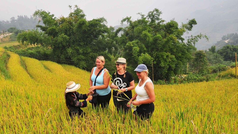 Picture 22 for Activity 2-Day Sapa Adventure with long treks - overnight in hotel