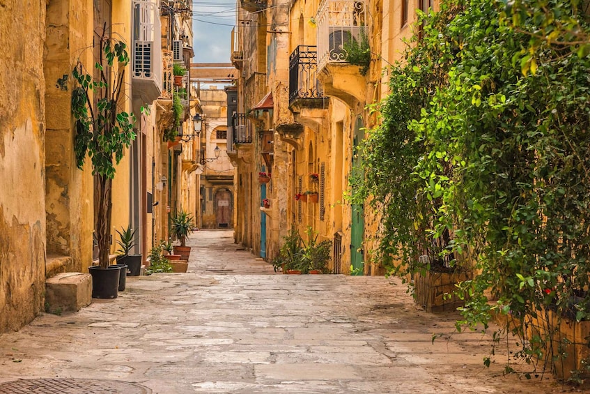 Picture 22 for Activity Valletta: Guided Walking Tour with Optional Cathedral Tour