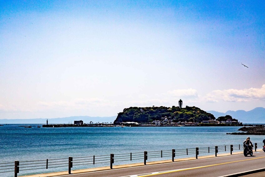 Picture 1 for Activity From Tokyo: Kamakura and Enoshima 1-Day Bus Tour