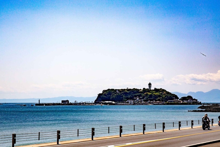 Picture 1 for Activity From Tokyo: Kamakura and Enoshima 1-Day Bus Tour