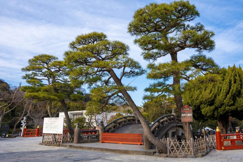 Picture 29 for Activity From Tokyo: Kamakura and Enoshima 1-Day Bus Tour
