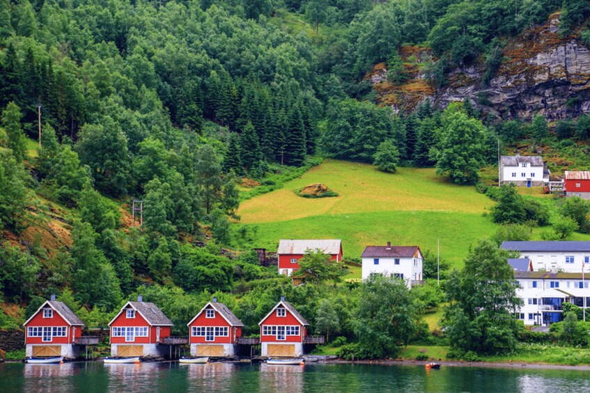Picture 3 for Activity From Bergen: Flam Full-Day Cruise to Sognefjord