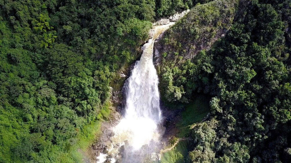 Picture 4 for Activity From Medellín: Dream Hammocks, Zipline, & Waterfall Day Trip