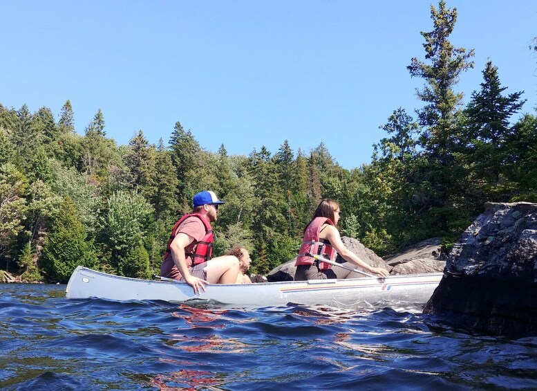 Picture 1 for Activity From Toronto: Algonquin Park Canoeing & Hiking Adventure