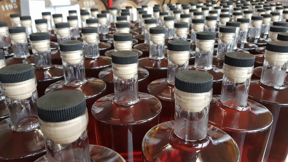 Picture 5 for Activity Eindhoven: Bottle Distillery Tour and Tasting Experience