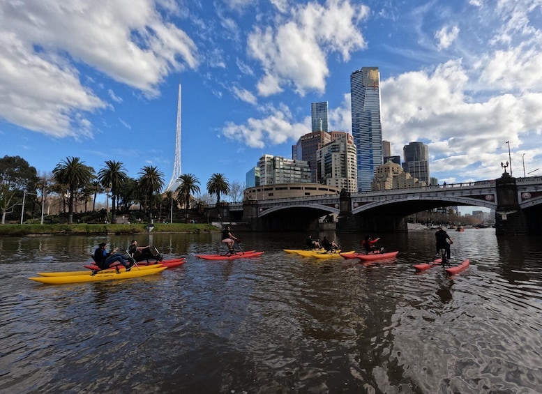 Picture 3 for Activity Yarra River, Melbourne Waterbike Tour