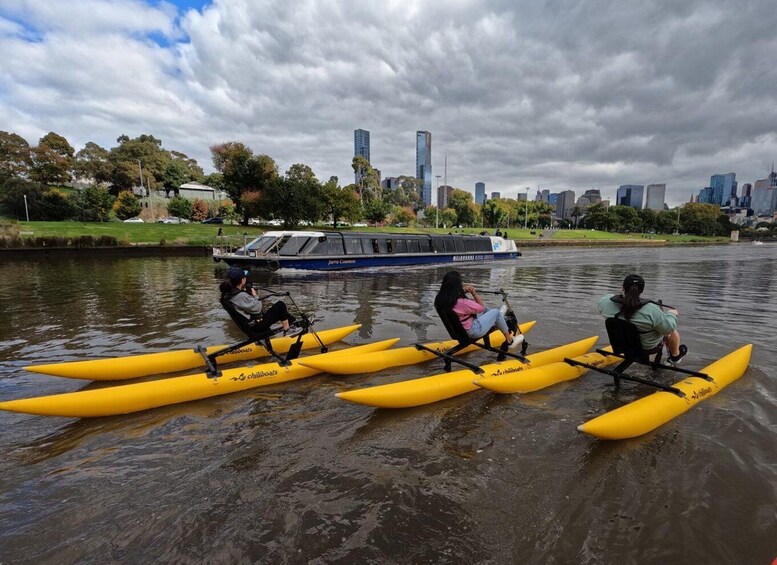 Picture 4 for Activity Yarra River, Melbourne Waterbike Tour