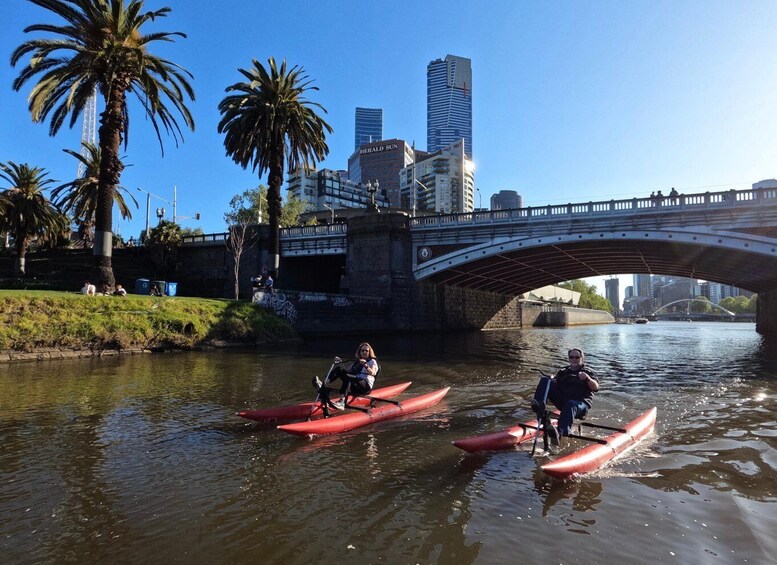 Picture 7 for Activity Yarra River, Melbourne Waterbike Tour