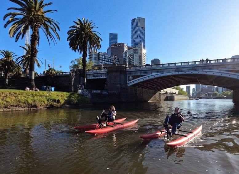 Picture 7 for Activity Yarra River, Melbourne Waterbike Tour