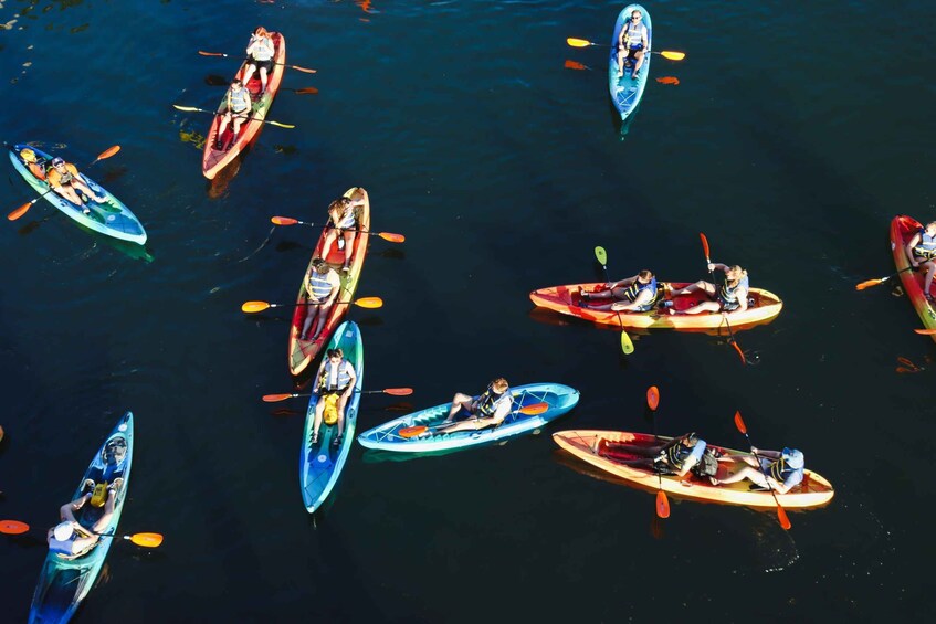 Picture 2 for Activity Austin: Downtown Skyline Kayaking Tour