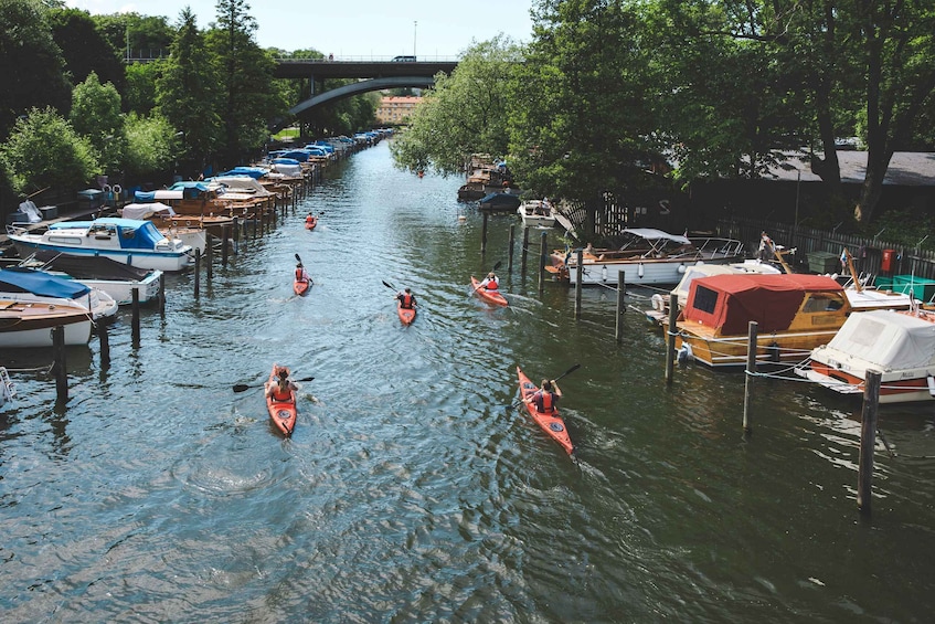 Picture 1 for Activity Stockholm: 2-Hour Guided Kayak Tour in City Center