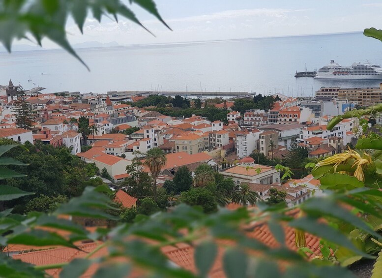 Picture 8 for Activity Funchal: Monte and Old Town Tour by Tuk-Tuk