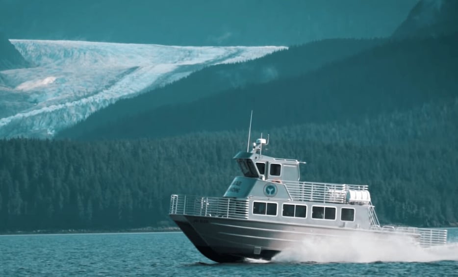 Picture 4 for Activity Juneau: Whale Watching and Wildlife Cruise with Local Guide