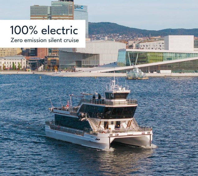 Picture 27 for Activity Oslo: Live guided Oslofjord Cruise by Silent Electric Boat