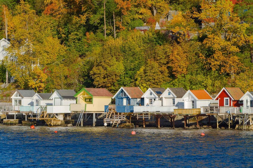 Picture 35 for Activity Oslo: Guided Sightseeing Fjord Cruise on Premium Silent Boat