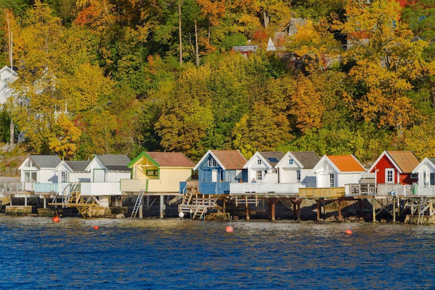 Picture 35 for Activity Oslo: Guided Sightseeing Fjord Cruise on Premium Silent Boat