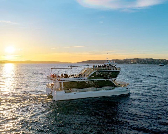 Picture 35 for Activity Oslo: Guided Sightseeing Fjord Cruise on Premium Silent Boat