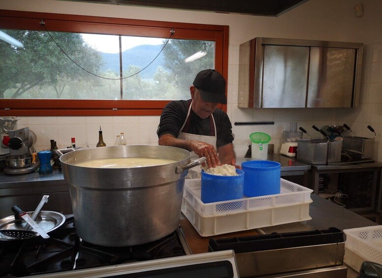 Picture 7 for Activity Cheese Making and Tasting Tour from Cagliari with Lunch