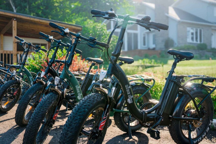 Picture 11 for Activity Quebec City: Ile d'Orléans Guided E-Bike Tour with Tastings
