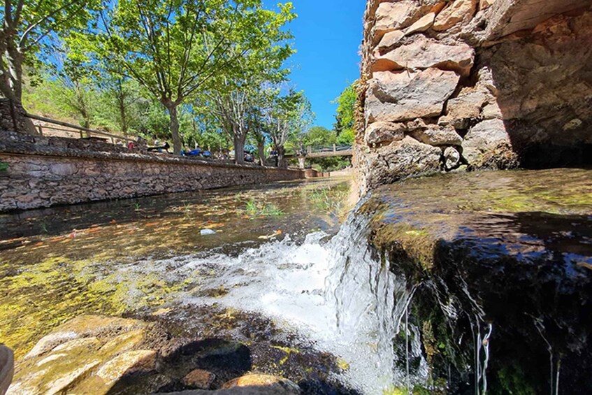 Picture 25 for Activity Albufeira: Safari Excursion in the Algarve Mountains