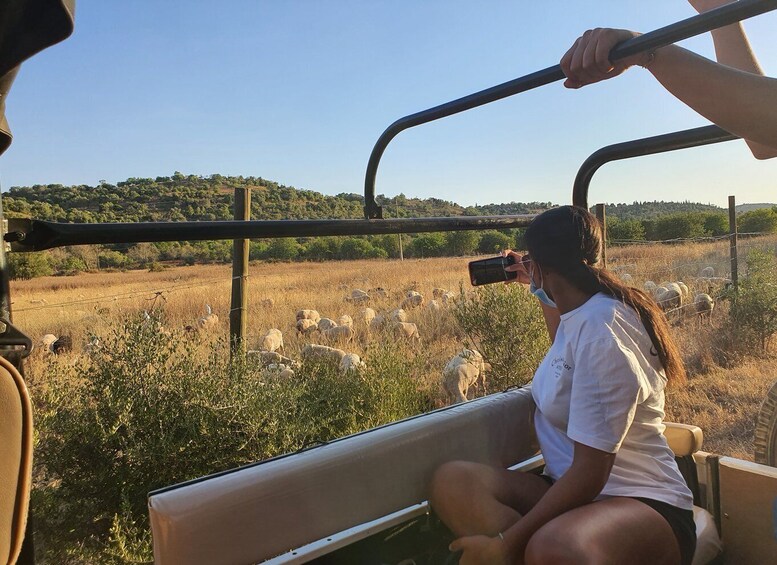 Picture 10 for Activity Albufeira: Safari Excursion in the Algarve Mountains