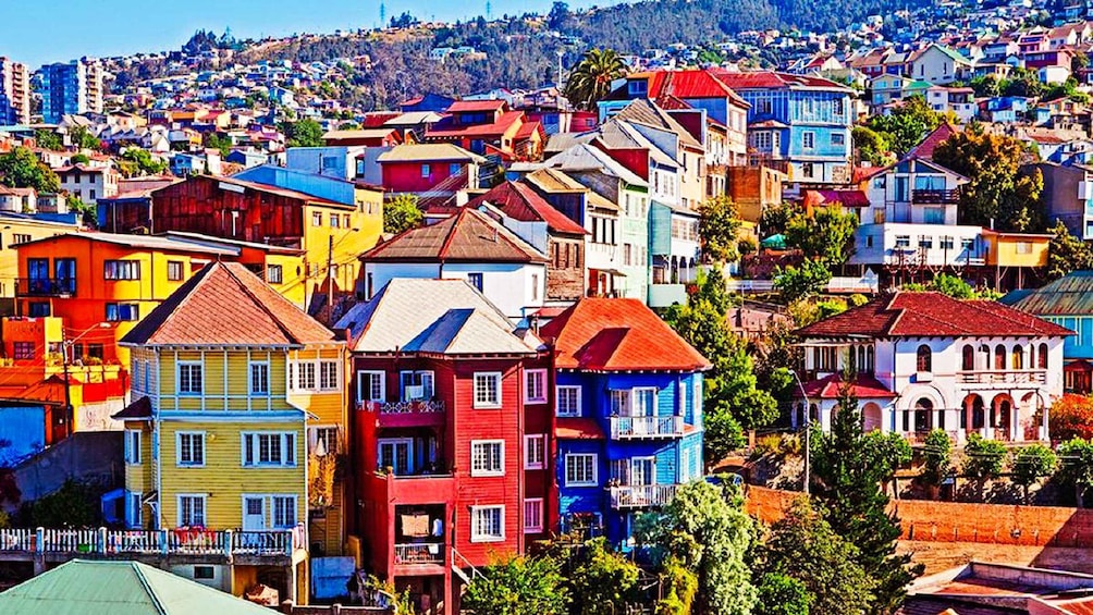 Santiago: Vina Del Mar, Valparaiso, Casablanca & Reñaca Tour
