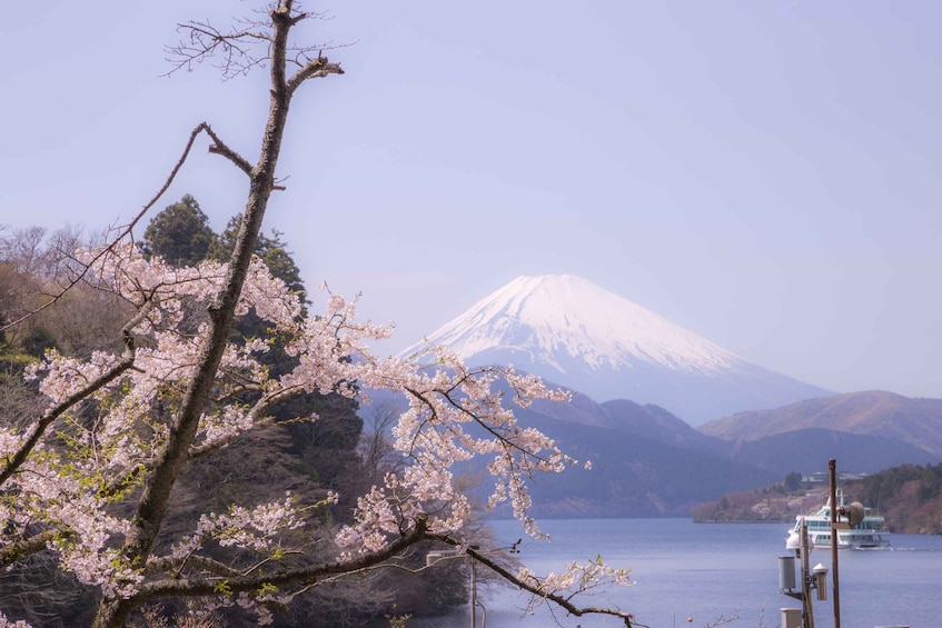 Picture 1 for Activity Tokyo: Hakone Fuji Day Tour w/ Cruise, Cable Car, Volcano
