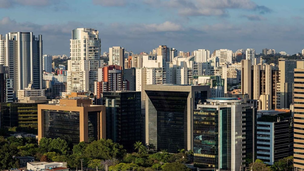 Picture 15 for Activity São Paulo: Main City Sights in 7 Hours – Shared Group Tour