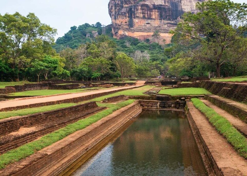 Picture 13 for Activity Sri Lanka: Western Province Highlights Day Tour and Safari