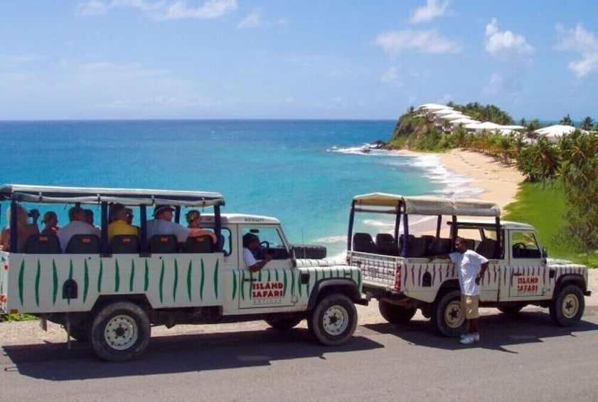 Mystic Island Safari