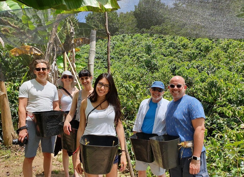 Picture 2 for Activity From Medellin: Private Envigado Coffee Tour with Tastings
