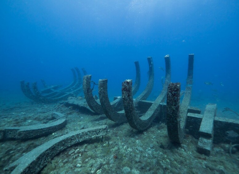 Picture 20 for Activity Puerto de Mogán: Submarine Tour