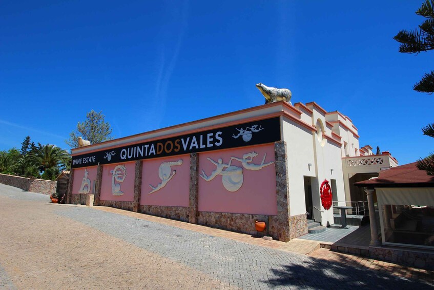 Picture 4 for Activity Algarve: 3 Types of Wine Tastings with Vineyard Views