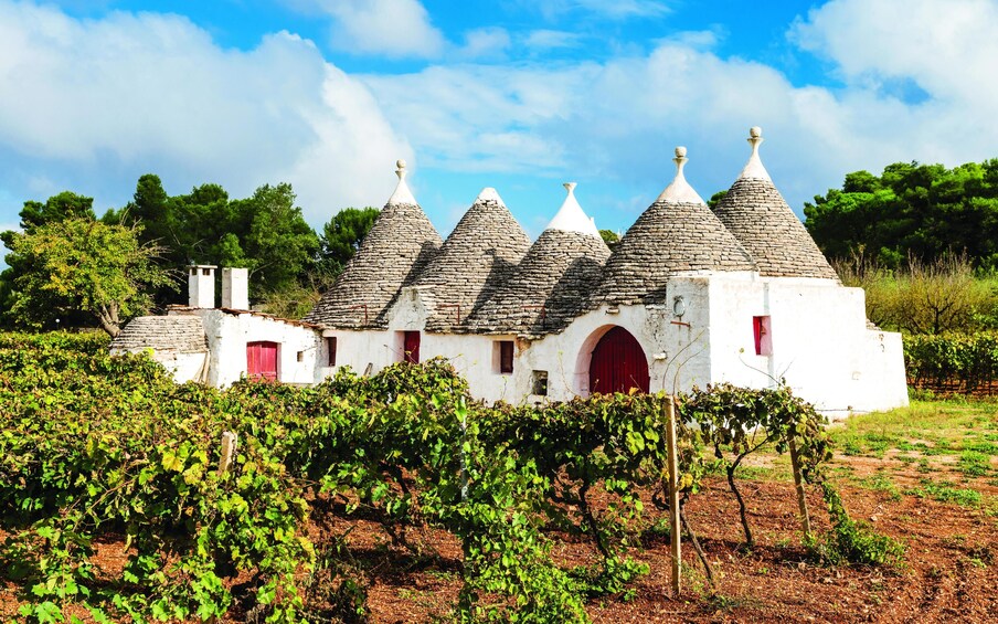 Secrets of Alberobello Tour from Central Puglia