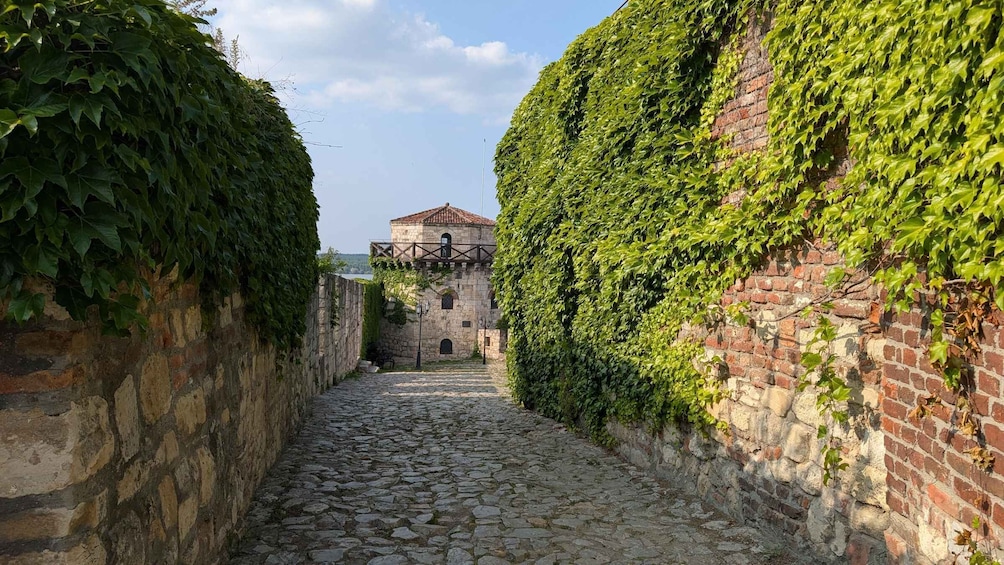 Picture 9 for Activity Belgrade: 3-Hour Serbian History Walking Tour