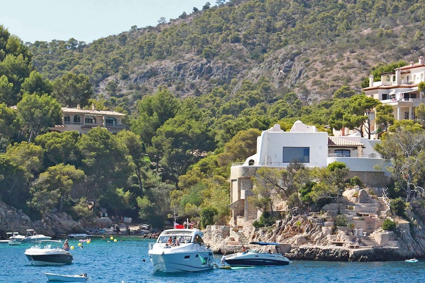 Picture 11 for Activity Mallorca: 2-Hour Coastline & Malgrat Islands Catamaran Tour