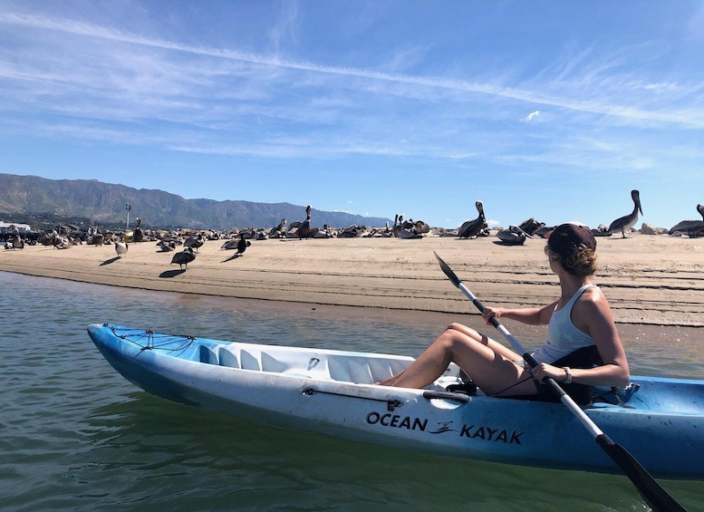 Picture 3 for Activity West Beach: Kayak Rental