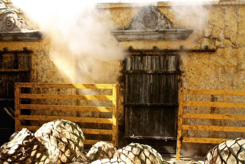 Picture 4 for Activity From Guadalajara: La Rojeña Distillery & Jose Cuervo Train