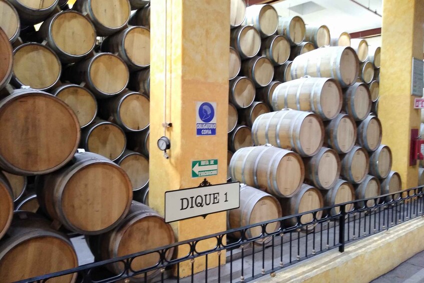 Picture 5 for Activity From Guadalajara: La Rojeña Distillery & Jose Cuervo Train