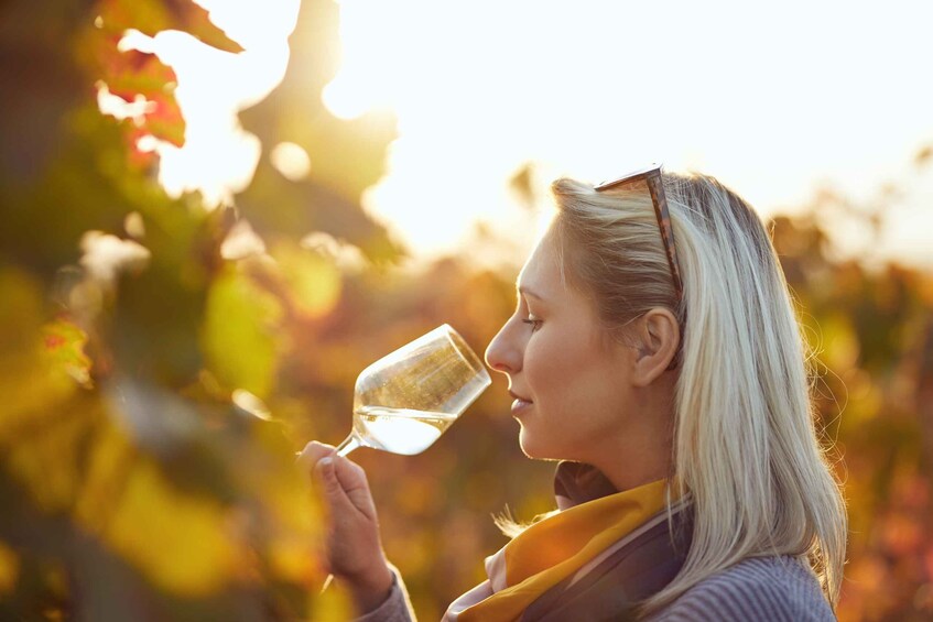 Picture 1 for Activity Vienna: Winery and Wine Tasting Tour with a Wine Expert