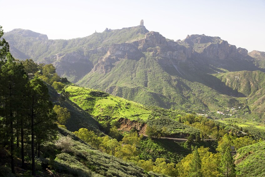 Full-Day Gran Canaria Highlights Tour