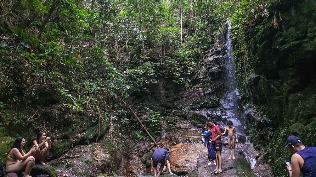 Picture 6 for Activity Rio de Janeiro: Tijuca Forest Waterfall of Souls Hike