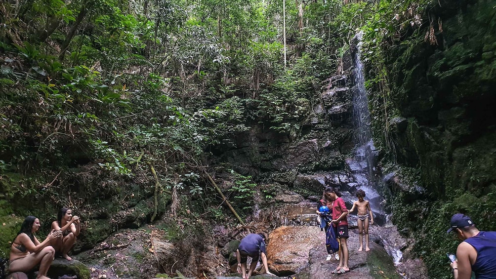 Picture 6 for Activity Rio de Janeiro: Tijuca Forest Waterfall of Souls Hike