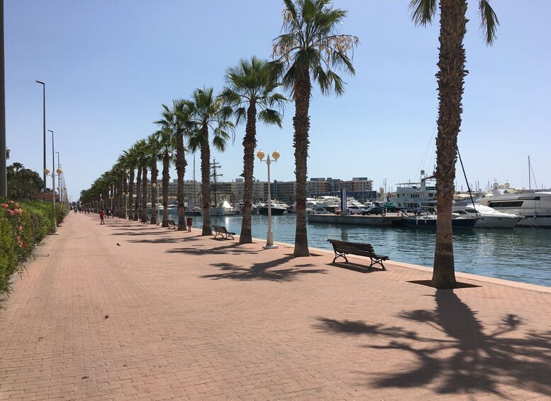 Picture 5 for Activity From Valencia: Private Day Trip to Alicante with Local Guide