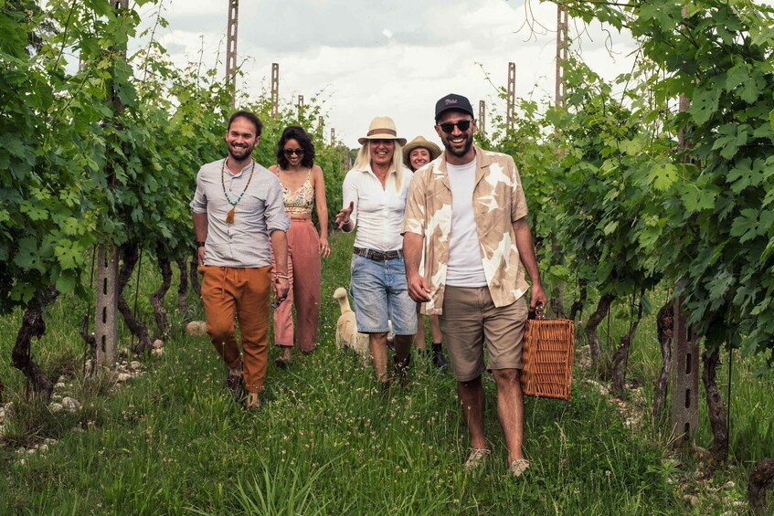 Picture 1 for Activity Lake Garda: Vineyards Tour and Wine Tasting