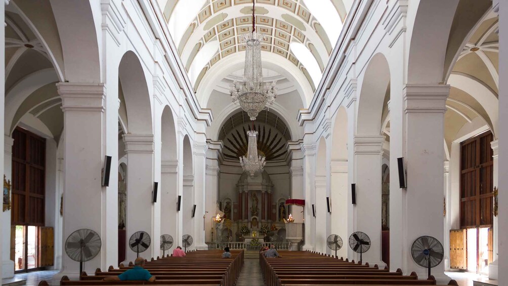 Picture 3 for Activity Old Town and Quinta Pedro Alejandrino Santa Marta City Tour