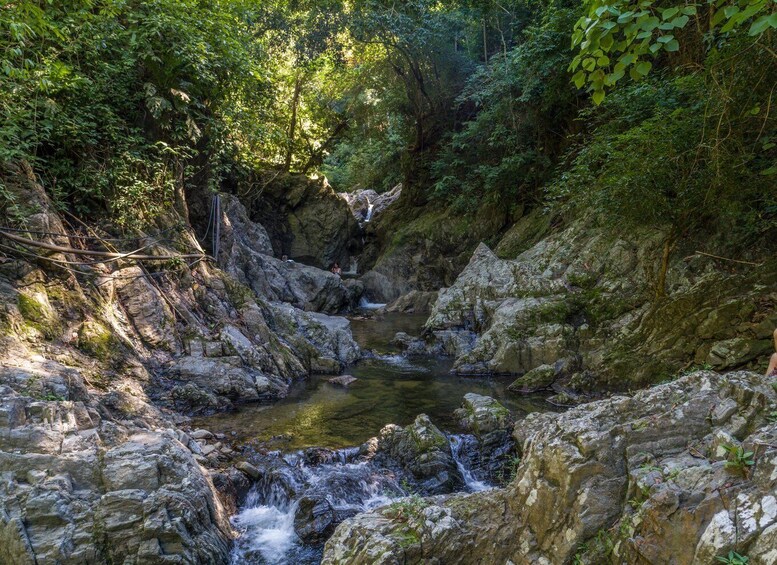 Picture 5 for Activity Santa Marta: Tayrona Park Private Hike to Cabo San Juan