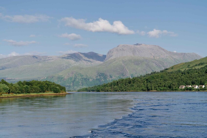 Picture 13 for Activity Fort William: Seal Spotting Loch Linnhe Cruise